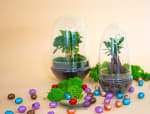 Tot Pasen 25% korting op alle EGG terrariums