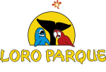 Ofertaza hotel + entrada Loro Parque desde solo 58€