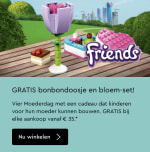 Gratis LEGO Bonbondoosje en Bloem