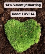 14% Valentijnskorting op gehele collectie terrariums