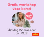 Gratis workshop Kerstinspiratie vanavond om 19:30 uur aangeboden door Wibra