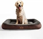 Cama Perro Grande Lavable Talla L por 15.19€