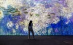 Tickets voor Monet: The Immersive Experience voor €12,80 via HLN