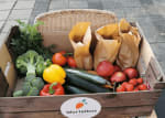 Wortelbox.nl | Box vol groente en fruit | 5% kortingscode