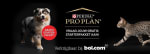 Pro Plan puppy of kitten starterpakket met €25,99 korting