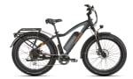 RadRhino (Commuter) Electric Fat Bike | 250W voor €1.099