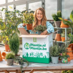 Tuinkneusjesbox met 8 plantjes voor €19,99 bij Plantje.nl