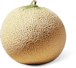 Galia meloen voor €0,99 bij Dirk