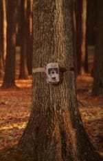 15% korting op geselecteerde producten bij WildcameraXL