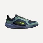 Nike Air Zoom Pegasus 41 GTX Zapatillas Running Hombre Negro por 79,95€