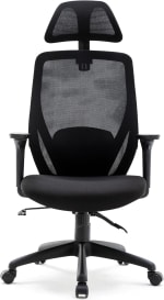 HNNHOME Recline Ergonomic Office Chair – £29.99