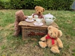 Free Ticket Kids Summer Fun Presents The Teddy Bear Picnic with The Toy Project
