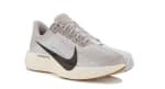 Chaussures Nike Pegasus Plus à 180€