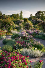 Free RHS garden entry for up to 2 adults at RHS