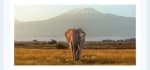 Aventura en Kenia 10 días Safaris y playas desde 1699€