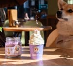 Gratis koffie en Purple Furfection Furryccino bij Bagels & Beans