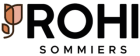 Camas con cajones con hasta 15% de descuento en Rohis Sommiers