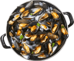Moules frites tous les Ven-Sam-Dim à 12,95€