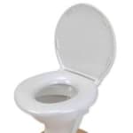 Home Creation Toilet Seat £9.99