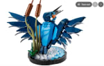 Le martin-pêcheur à 49,99€