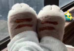 Pantuflas Adorables con Forma de Gato por $6.300