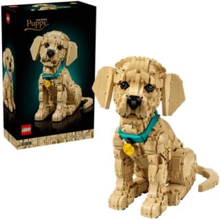 LEGO Icons golden retriever puppy voor €87,99 bij Bol