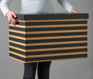 IKEA PINGLA Caja Almacenaje 56x37x36cm 2uds por 6,49€