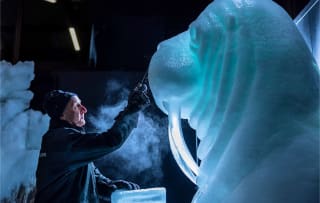 Entreeticket Het Nederlands IJsbeelden Festival in Biddinghuizen voor €17,95