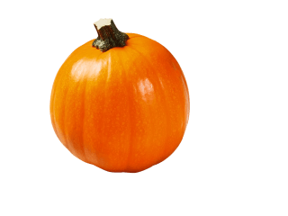 Halloween pompoen om zelf te carven voor €3,99 bij de Lidl