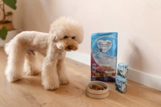 Renske honden- en kattenvoeding vanaf €2,23