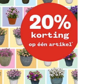 20% korting op 1 artikel naar keuze bij Welkoop
