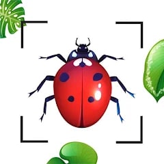 Insect Bug Identifier & Finder voor IOS en Android gratis