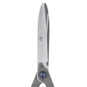 Spear & Jackson 8110RS Razorsharp Notched Hedge Shear, Blue
