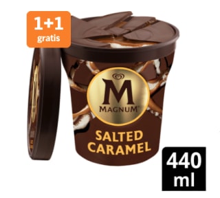 1+1 gratis op Alle Ben & Jerry's en Magnum pints bij de AH