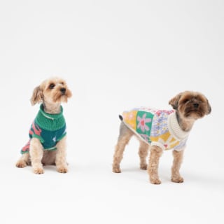 Chaleco Tejido para Mascota S por $3.190