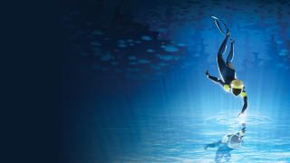 Para PS4 juego ABZÛ por 6.99€