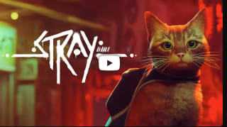 Stray - Steam Game voor €11,05 via Fanatical