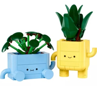 LEGO Botanicals Happy Plants (10349) – £12.15 (Free Click & Collect)