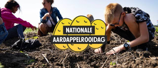 Gratis aardappels rooien in diverse provincies