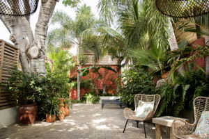 Last-minute naar Curaçao (incl vlucht + huurauto) vanaf €982