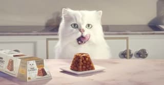 Get Dreamies Cat Treats with Chicken (8 x 60g) for £3.73 at Amazon.