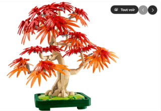 LEGO Botanicals 10348 Bonsaï d'érable rouge du Japon pour 59,99€