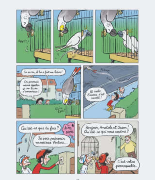 Anatole Latuile Tome 20 : Drôles d'oiseaux ! à 12,20€