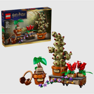 LEGO 76474 Harry Potter Zweinstein Kruidenkunde planten voor €59,98 bij Joybuy