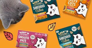 Whiskas Tasty Mix Cat Food 40x85g – Amazon £9.03 Deal