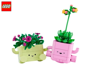 LEGO Botanicals Rocking Plants 11506 for £12.99