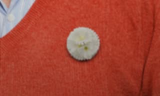 Witte Anjer clip