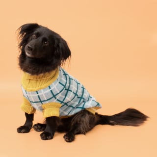 Chaleco tejido para mascota rebaja $3.590 solo en CasaIdeas.cl