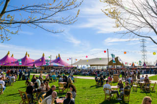 €5,00 p.p. naar Linge Pop festival met o.a. optreden van Roxy Dekker