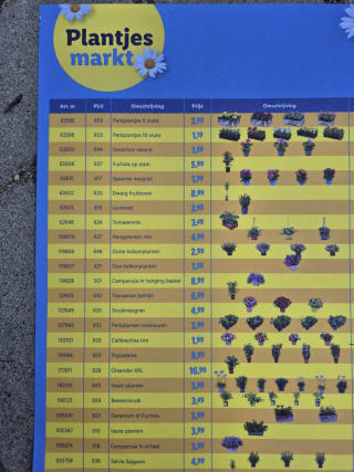 Plantjes markt bij de Lidl, plantjes vanaf 0,99 euro